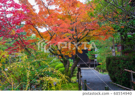 Autumn leaves at Kinchiin, Kyoto 68554940