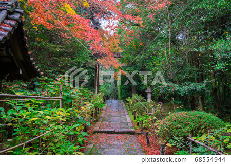 Autumn leaves at Kinchiin, Kyoto Autumn leaves at Kinchiin, Kyoto 68554944