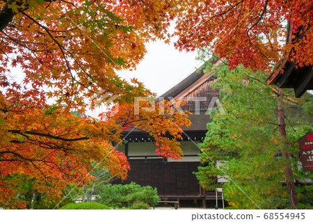 Autumn leaves at Kinchiin, Kyoto Autumn leaves at Kinchiin, Kyoto 68554945
