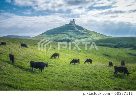 Wakkanai Soya Hills and Japanese Black Beef Wakkanai Soya Hills and Japanese Black Beef 68557111