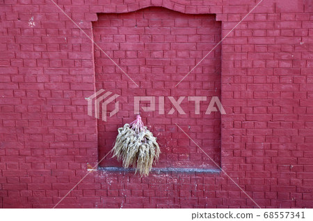 Paddy rice branch hanging on the red brick wall. Paddy rice branch hanging on the red brick wall. 68557341