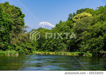 (Shizuoka Prefecture) Kakitagawa spring water and Mt. Fuji surrounded by fresh greenery 68558093
