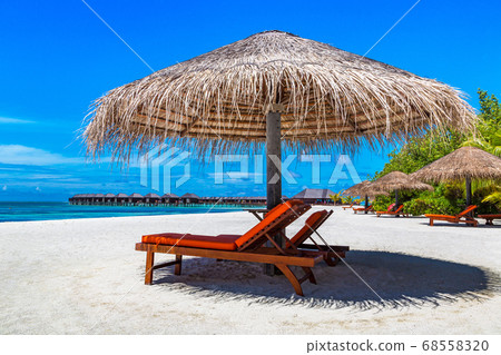 Sunbed and umbrella in the Maldives 68558320