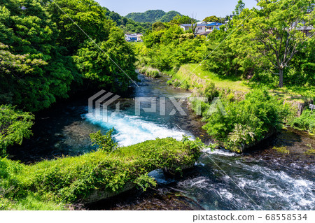 (Shizuoka Prefecture) Kakitagawa spring water surrounded by fresh greenery flows out (Shizuoka Prefecture) Kakitagawa spring water surrounded by fresh greenery flows out 68558534