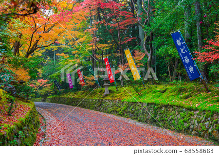 Autumn leaves of Kyoto Akayama Zenin Autumn leaves of Kyoto Akayama Zenin 68558683