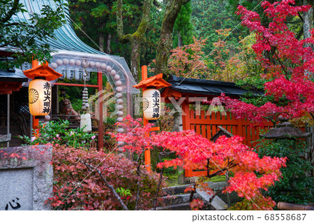Autumn leaves of Kyoto Akayama Zenin Autumn leaves of Kyoto Akayama Zenin 68558687