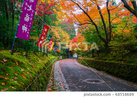 Autumn leaves of Kyoto Akayama Zenin 68558689