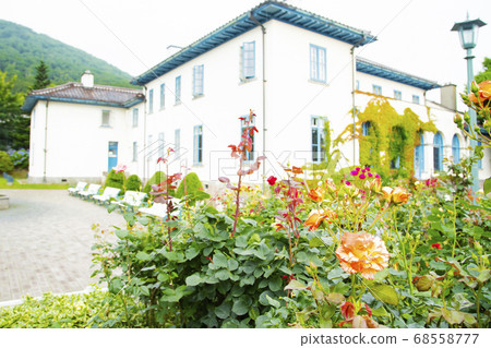 Former British Consulate of Hakodate City Rose Flower and Building Former British Consulate of Hakodate City Rose Flower and Building 68558777