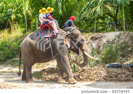 Tourists riding elephant in Thailand Tourists riding elephant in Thailand 68559545