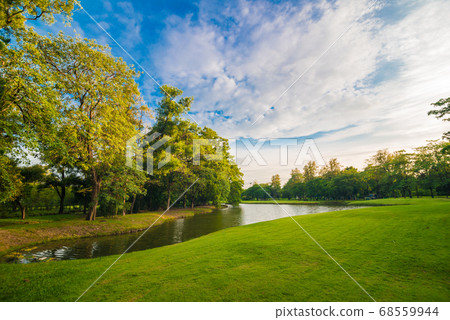 Green tree field with pond in public park Green tree field with pond in public park 68559944