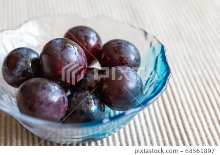 大粒葡萄 68561897