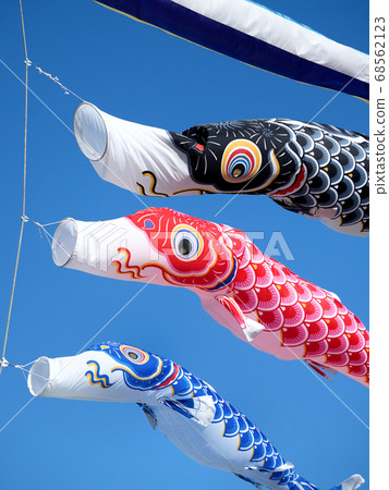 Carp streamer Carp streamer 68562123