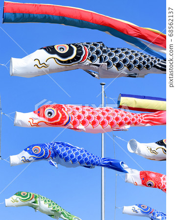 Carp streamer Carp streamer 68562137