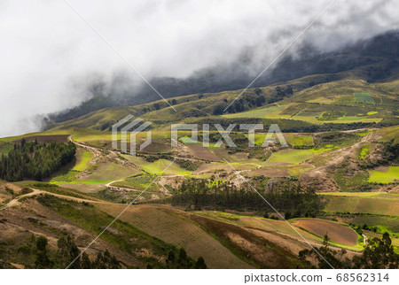 Green hills Green hills 68562314
