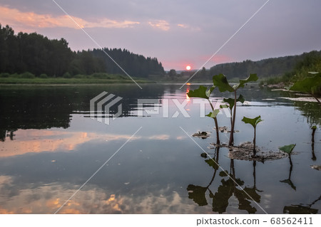 Sunset on Chusovaya river Sunset on Chusovaya river 68562411