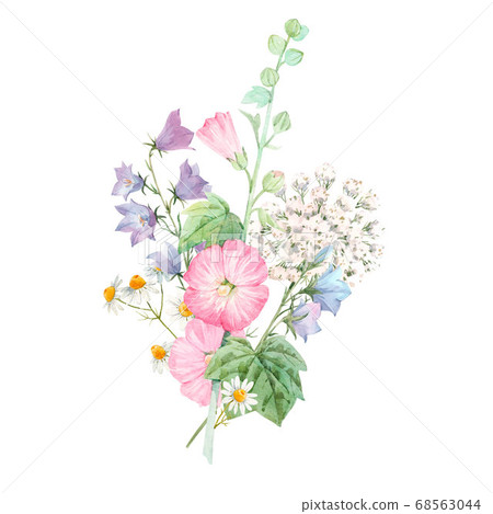 Beautiful floral bouquet with watercolor summer flowers. Stock illustration. 68563044