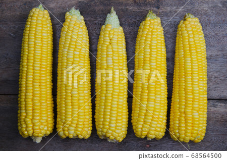 Fresh Organic Corn for Ingredient. Fresh Organic Corn for Ingredient. 68564500