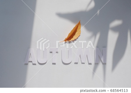 letter autumn cut from paper. Monochromatic 68564513