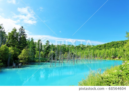 Blue sky and blue pond in Hokkaido summer 68564604