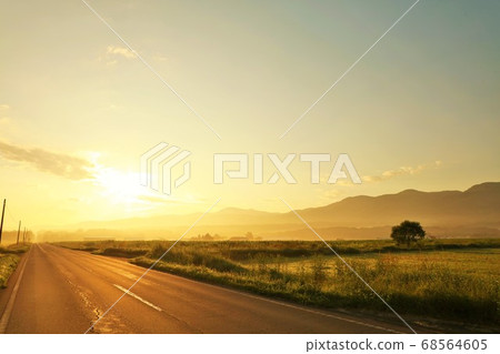 Hokkaido's dawn light and straight road 68564605
