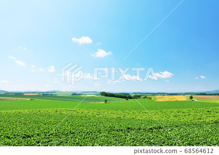 北海道夏季藍天和大片土地 68564612