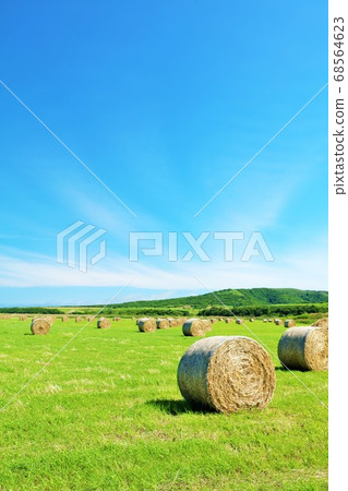Hokkaido summer blue sky and pasture roll Hokkaido summer blue sky and pasture roll 68564623