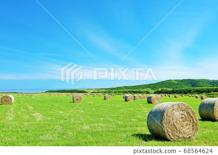 北海道夏天藍天和牧場卷 北海道夏天藍天和牧場卷 68564624