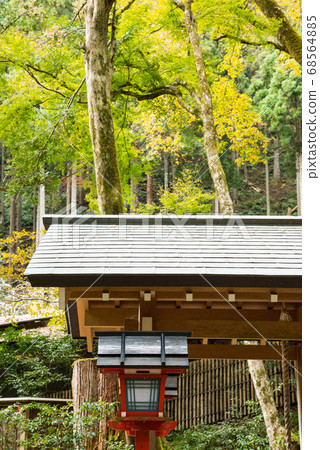 京都紀文神社的秋葉 京都紀文神社的秋葉 68564885