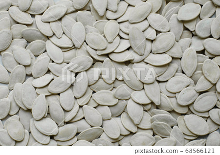 Pumpkin Seeds. 68566121