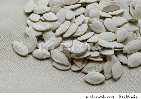 Pumpkin Seeds. 68566122