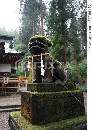 Oiwa Shrine Lion 68566152