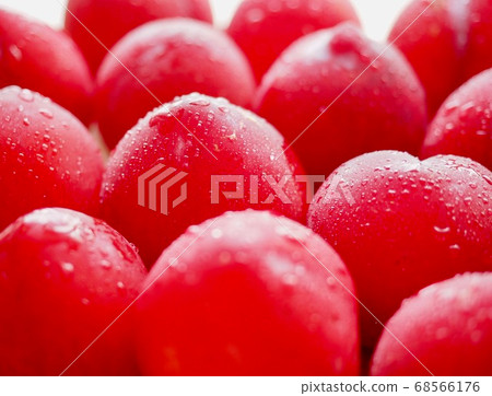 Fresh organic fruit plums from Korea 68566176