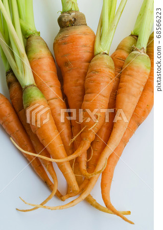 Organic Carrot for Cooking. Organic Carrot for Cooking. 68566223