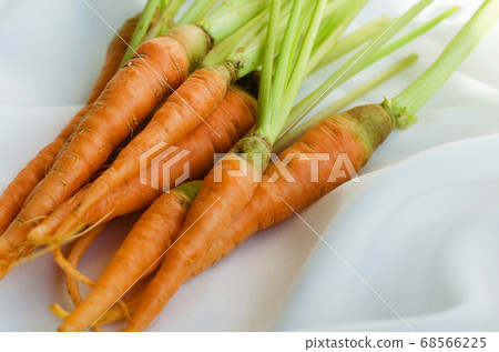 Organic Carrot for Cooking. Organic Carrot for Cooking. 68566225
