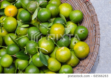 Organic Green Kumquat in Basket from Natural Orchard. 68566263