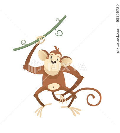 Jungle wild monkey. Colorful safari, circus or zoo cartoon animal ape, wildlife trendy exotic childish print, african fauna. Vector single isolated illustration 68566729