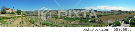 Alba, vineyards of the Langhe Alba, vineyards of the Langhe 68566992