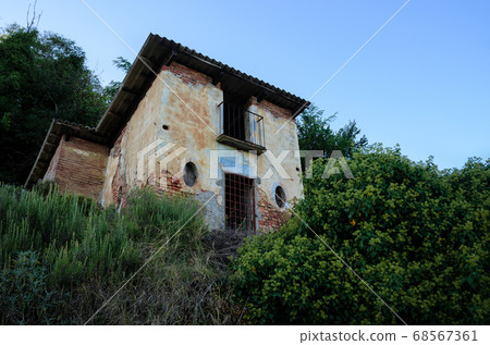 Abandoned toolshed in the vineyards Abandoned toolshed in the vineyards 68567361