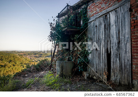 Abandoned toolshed in the vineyards 68567362