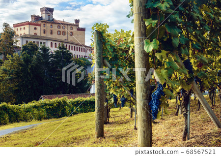 Panorama of Barolo (piedmont,Italy) Panorama of Barolo (piedmont,Italy) 68567521