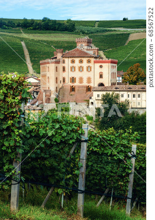 Panorama of Barolo (piedmont,Italy) 68567522
