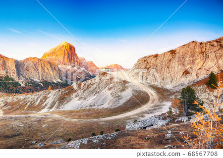 Picturesque autumn landscape with yellow larches Picturesque autumn landscape with yellow larches 68567708