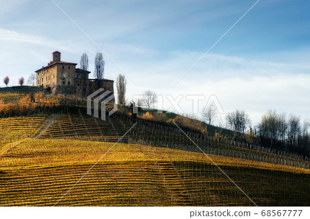 Castello della Volta and vineyards (Barolo, Italy) Castello della Volta and vineyards (Barolo, Italy) 68567777
