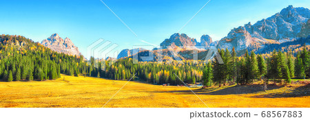 Scenic image of meadow in National Park Tre Cime Scenic image of meadow in National Park Tre Cime 68567883