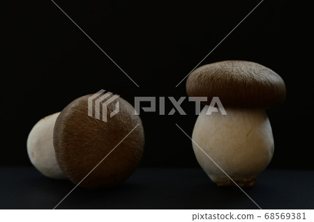 Honshimeji mushroom background black 68569381
