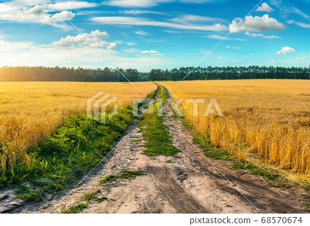 Road through field with wheat Road through field with wheat 68570674