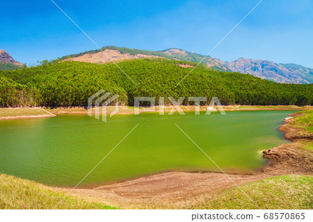 Dam lake near Munnar, India 68570865