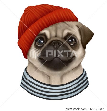 pugs beanies