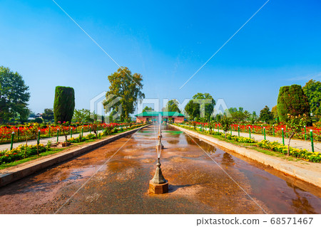 Garden in Srinagar city, India 68571467