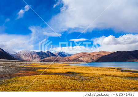 Pangong Tso Lake in Ladakh, India Pangong Tso Lake in Ladakh, India 68571485